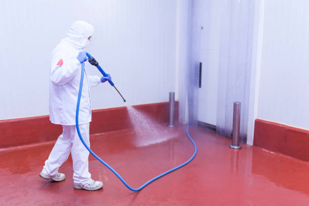 Pre-Holiday Cleaning in Rye Brook, NY