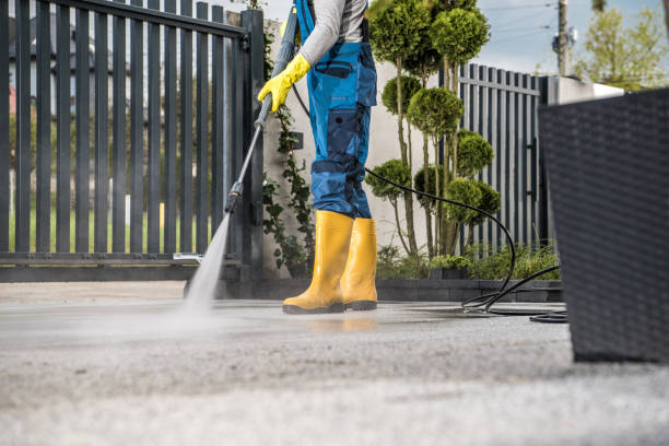Best Gutter Cleaning  in Rye Brook, NY